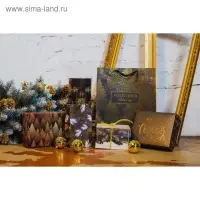 Пакет подарочный новогодний ламинированный «Чудесного Нового года», ML 23 х 27 х 11.5 см