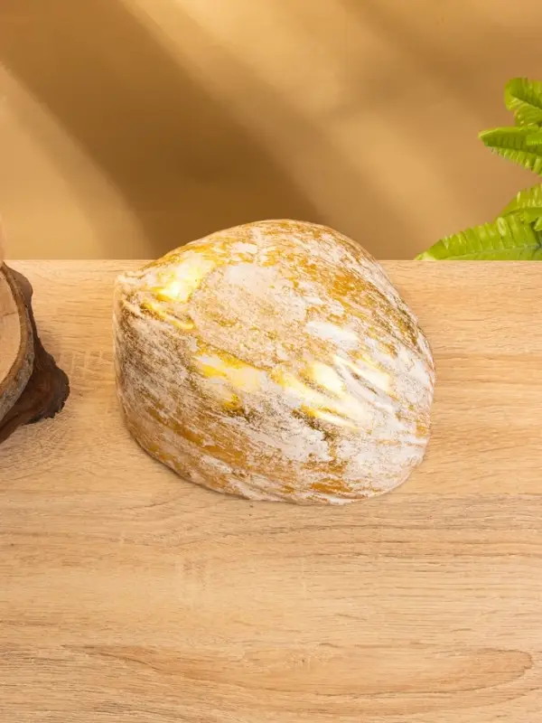 Чаша из кокоса, 18×18×10 см, бежево-золотая Чаша из кокоса, 18×18×10 см, бежево-золотая