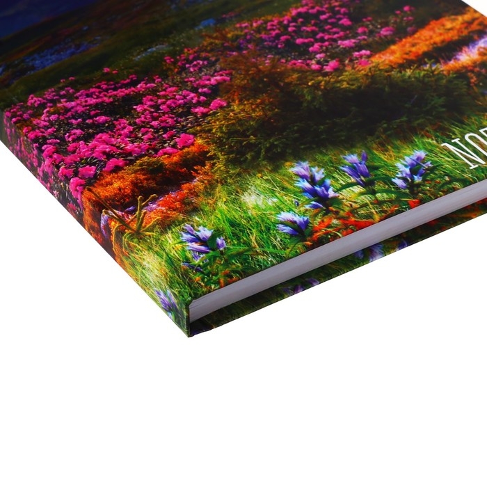 Колледж-тетрадь в твердой обложке 7БЦ, А5, 120 листов, Времена года. Лето, блок в клетку, глянцевая ламинация