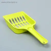 Совок "Вдохновение", микс видов и цветов