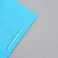 Пакет подарочный "Чёткий акцент" ламинированный 26 х 12 х 32 см