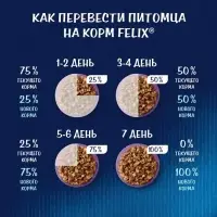 Влажный корм Felix Sensations для кошек индейка/бекон в соусе, 75 г