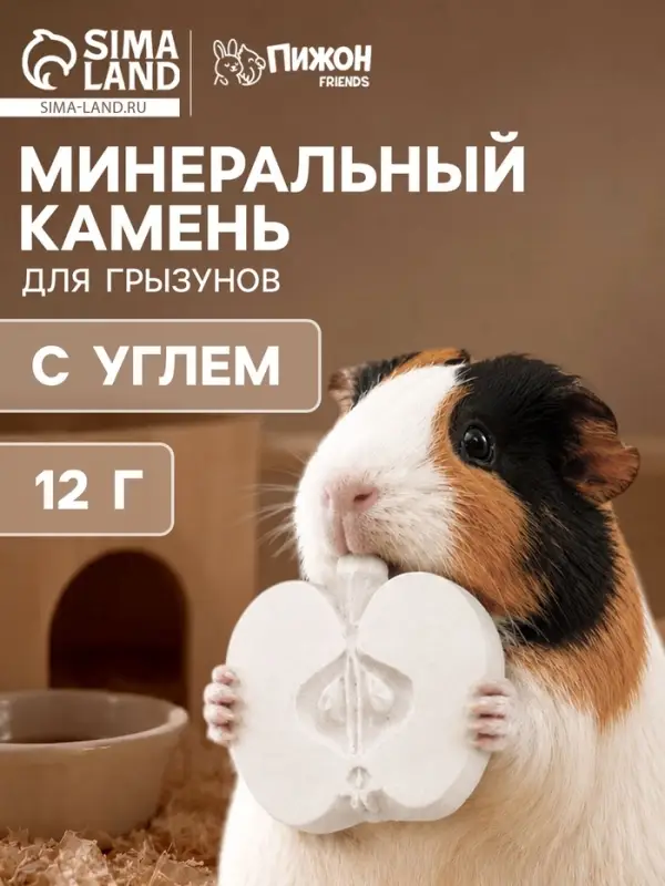 Минеральный камень для грызунов &laquo;Пижон&raquo;, яблоко с углем, 70 г