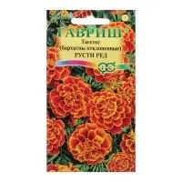 Семена цветов Бархатцы отклоненные "Русти Ред", ц/п,  0,3 г