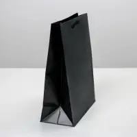 Пакет подарочный ламинированный, упаковка, &laquo;Чёрный&raquo;, MS 18&times;23&times;8 см