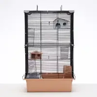 Клетка для грызунов &laquo;Пижон&raquo;, 42&times;30&times;65 см, 4 этажа, 2 домика, колесо, миска, бежевая