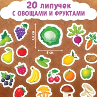 Книжка с липучками «Что где растёт?» 12 стр.