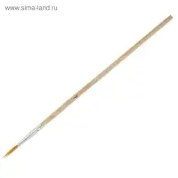 Набор кистей для рисования, синтетика, 10 штук: № 1, 2, 3, 4, 5, 6, 7, 8, 9, 10, круглые, деревянная ручка, международный размер