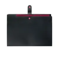 Папка А4, 5 отделений, Calligrata, 600 мкм, на кнопке, черная, матовая Папка А4, 5 отделений, Calligrata, 600 мкм, на кнопке, черная, матовая