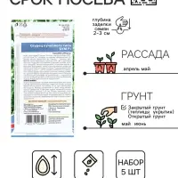 Семена огурца &laquo;Бум&raquo;, F1, набор 5 шт., &laquo;Мой выбор&raquo;
