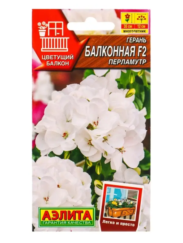Семена цветов Герань Балконная перламутр F2 Мн Цветущий балкон, Ц/П,5 шт. Семена цветов Герань Балконная перламутр F2 Мн Цветущий балкон, Ц/П,5 шт.