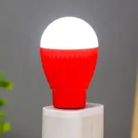 Ночник RISALUX &laquo;Лампочка&raquo;, LED, USB, 3.5&times;3.5&times;6.5 см, МИКС