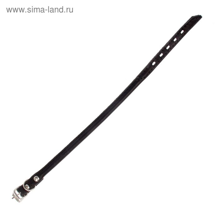 Ошейник кожаный круглый, 31 х 1,5 см, ОШ 25-27 см, микс цветов Ошейник кожаный круглый, 31 х 1,5 см, ОШ 25-27 см, микс цветов