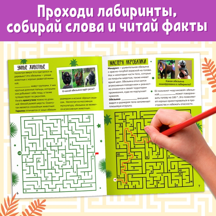 Книга «Лабиринты и факты. По лианам в джунгли», 24 стр. Книга «Лабиринты и факты. По лианам в джунгли», 24 стр.