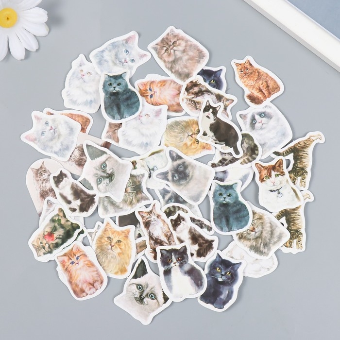 Наклейки для творчества Наклейки для творчества "Кошечки" набор 46 шт 4,4х4,4х1,1 см