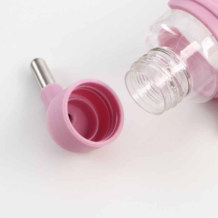 Поилка для грызунов Поилка для грызунов "Пижон", 80 мл, розовая