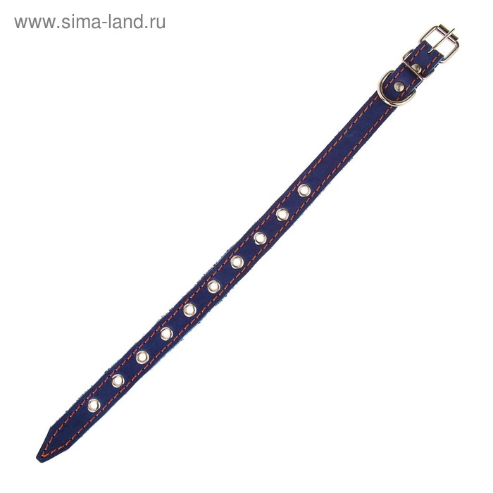 Ошейник кожаный однослойный безразмерный, 45 х 2 см, ОШ 18-39 см, синий Ошейник кожаный однослойный безразмерный, 45 х 2 см, ОШ 18-39 см, синий