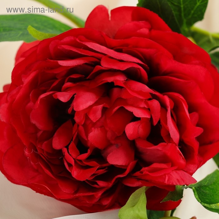 Цветы искусственные  Цветы искусственные "Пион дуо" 12х60 см, красный