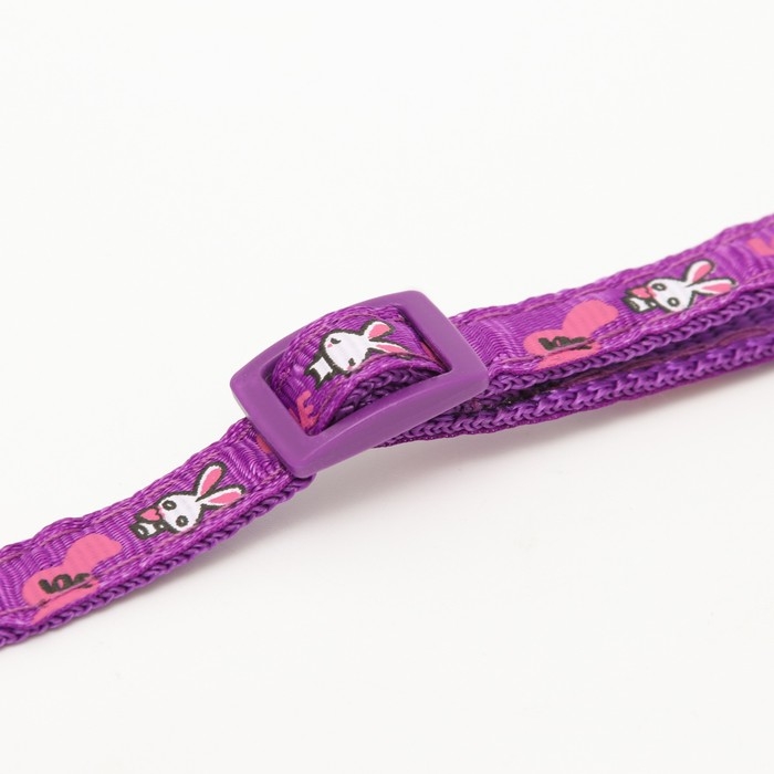 Ошейник двухслойный с фастексом Ошейник двухслойный с фастексом "Зайки", 30 х 1 см, фиолетовый