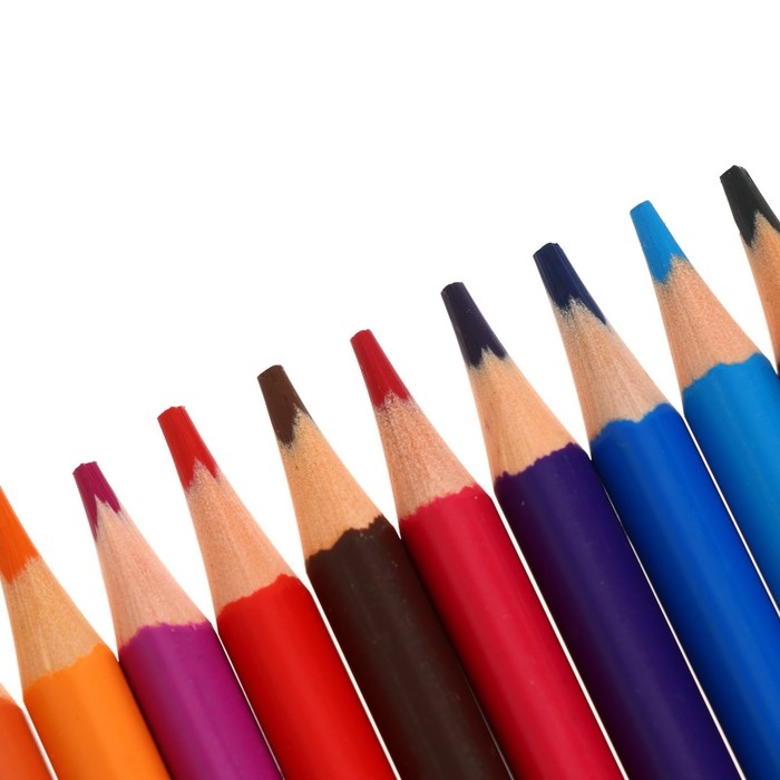 Карандаши 24 цвета BrunoVisconti FunColor, пластиковые, МИКС Карандаши 24 цвета BrunoVisconti FunColor, пластиковые, МИКС