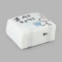 Салфетки бумажные двухслойные New Line Fresco &laquo;С Др КРЧ&raquo;, 24&times;24 см, 50 шт.
