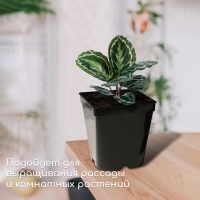 Горшок для рассады, 5 л, d = 18,5 см, h = 20 см, чёрный, Greengo