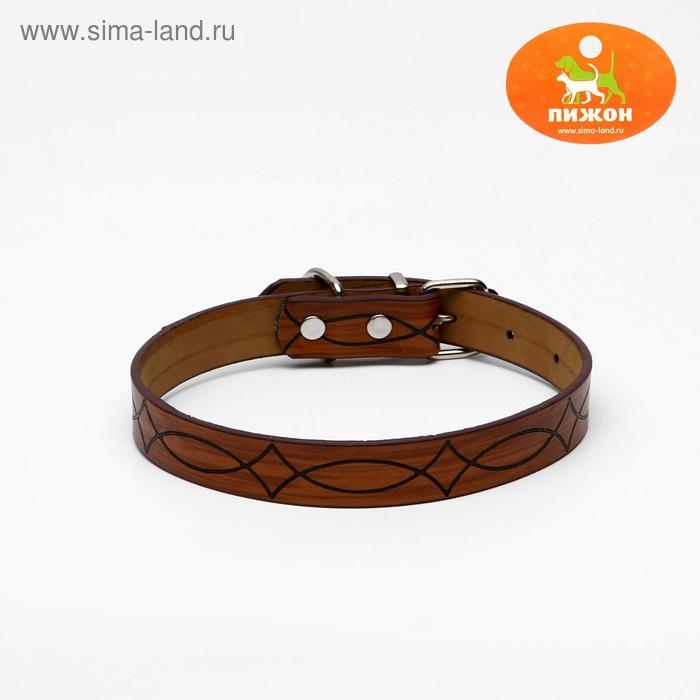 Ошейник с основой из термопластичной резины, тисненый, 48 х 2 см, микс цветов Ошейник с основой из термопластичной резины, тисненый, 48 х 2 см, микс цветов