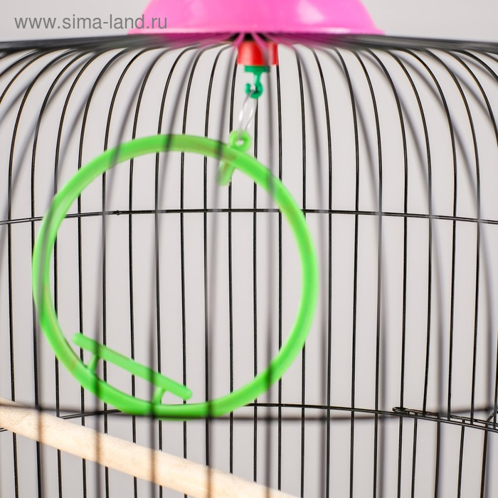 Клетка для птиц круглая, двухъярусная сварная, большой поддон, 39 x 44 см, микс цветов Клетка для птиц круглая, двухъярусная сварная, большой поддон, 39 x 44 см, микс цветов