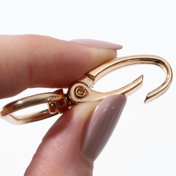 Карабин металлический, 45 × 31 мм / 25 × 2,2 мм, 5 шт, цвет золотой Карабин металлический, 45 × 31 мм / 25 × 2,2 мм, 5 шт, цвет золотой