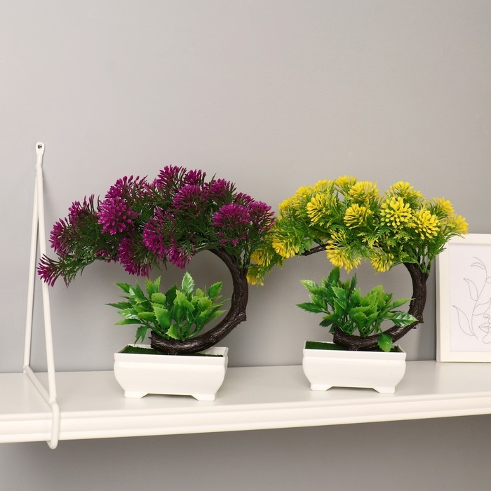 Бонсай в горшке Бонсай в горшке "Селагинелла африканская" 10х20 см, микс