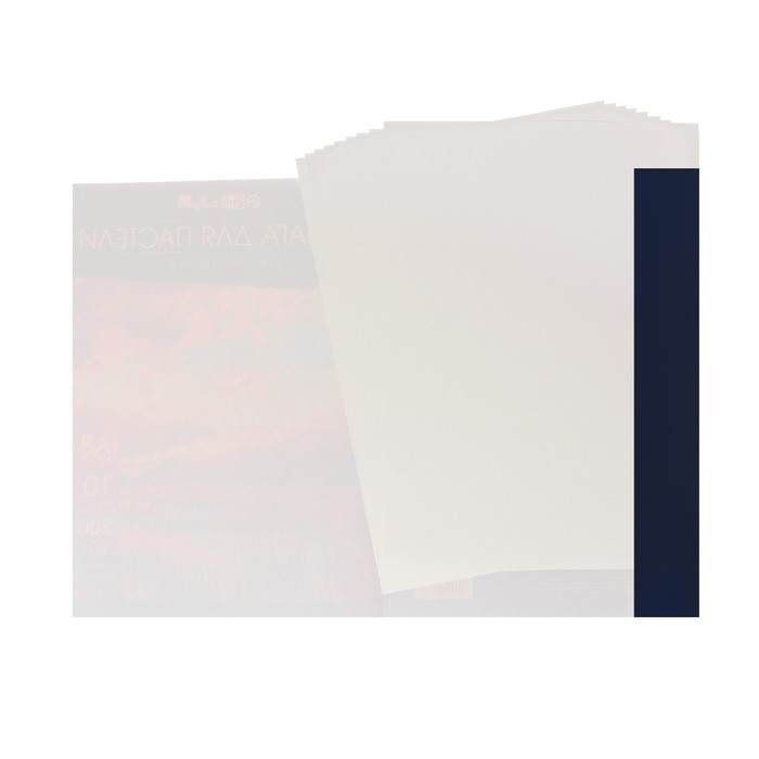 Бумага для пастели А5, 20 листов  Бумага для пастели А5, 20 листов "Собака", блок 160 г/м2, в папке