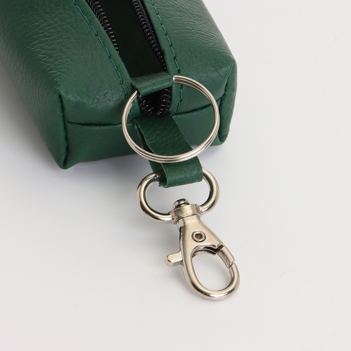 Ключница на молнии, длина 16 см, кольцо, карабин, цвет зелёный Ключница на молнии, длина 16 см, кольцо, карабин, цвет зелёный