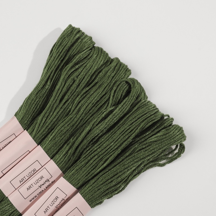 Набор ниток мулине №3363, 8 ± 1 м, 6 шт, цвет сосновый Набор ниток мулине №3363, 8 ± 1 м, 6 шт, цвет сосновый