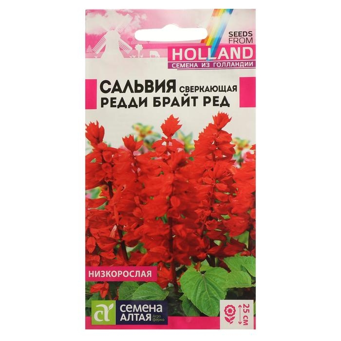Семена цветов Сальвия  Семена цветов Сальвия "Редди Брайт", ред, сверкающая, Сем. Алт, ц/п, 5 шт