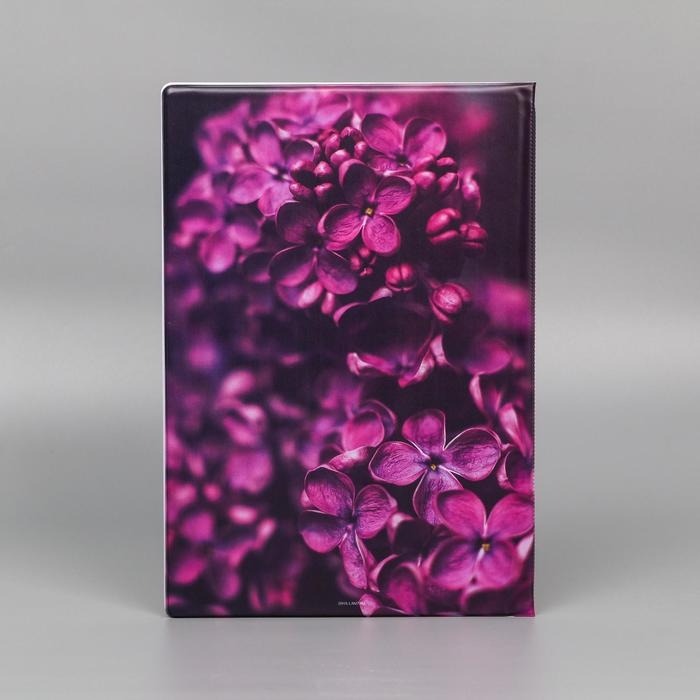 Папка для документов «Docs», 8 файлов А4 Папка для документов «Docs», 8 файлов А4