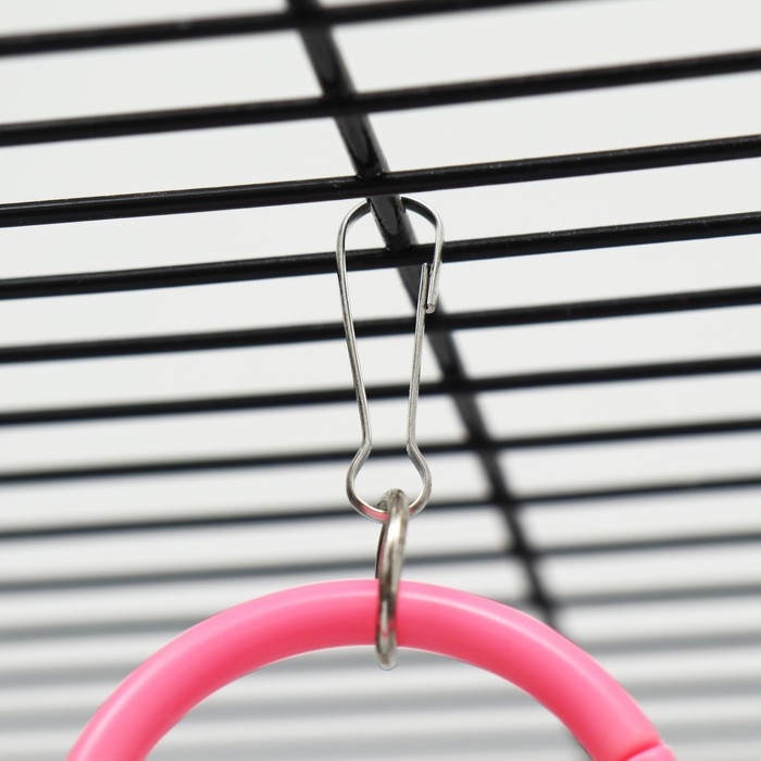 Игрушка для птиц  Игрушка для птиц "Разноцветные кольца" 5 шт