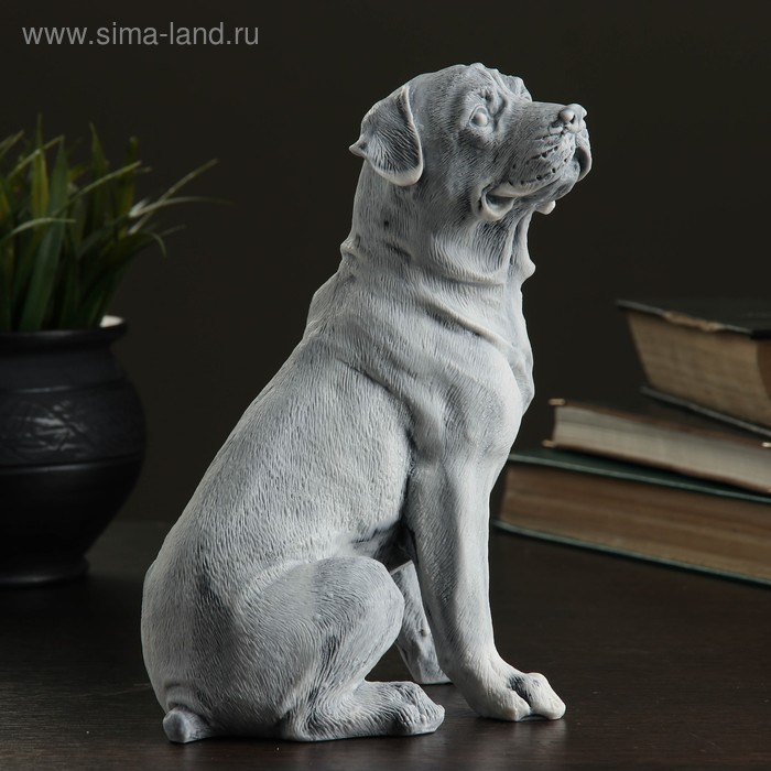 Сувенир  Сувенир "Ротвейлер (большой)" 19,5см