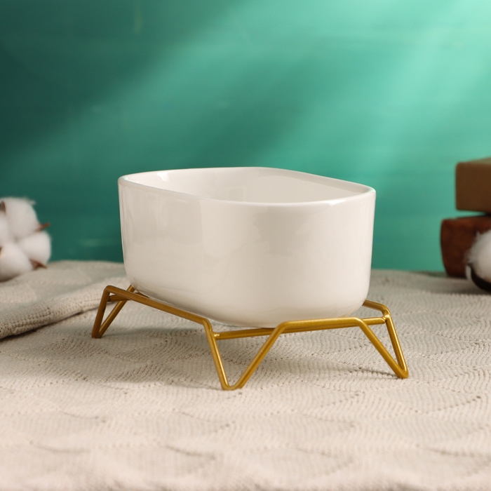 Горшок на подставке Горшок на подставке "Бонсайница" для кактусов и суккулентов, 17х8,5х5см