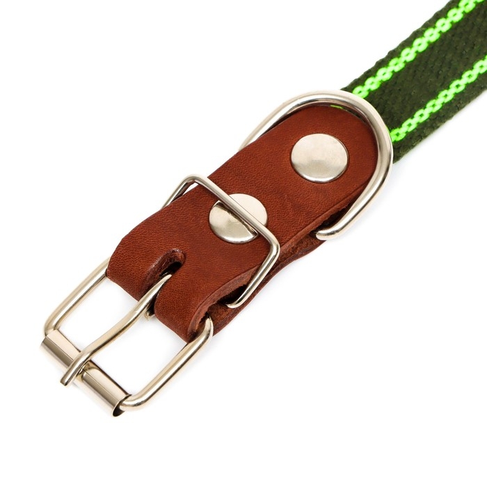 Ошейник брезентовый безразмерный однослойный, 57 х 2,5 см, ОШ 25-45 см, хаки/зелёный Ошейник брезентовый безразмерный однослойный, 57 х 2,5 см, ОШ 25-45 см, хаки/зелёный