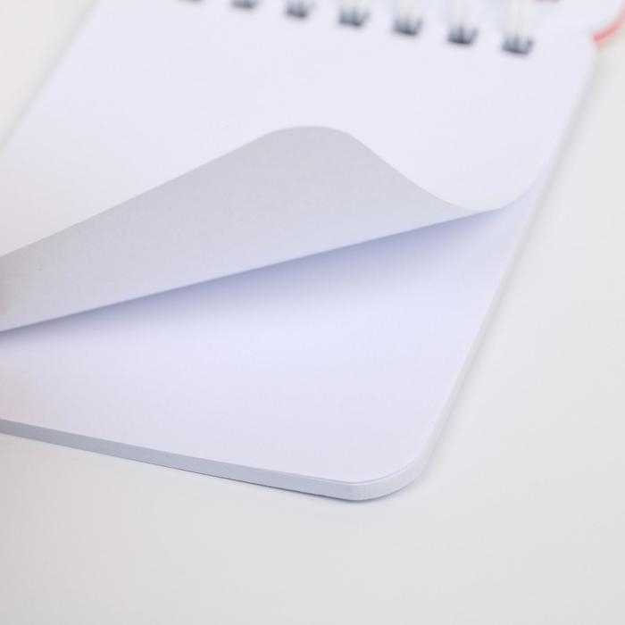 Набор «С 8 Мяута»: блокнот и ручка пластик Набор «С 8 Мяута»: блокнот и ручка пластик