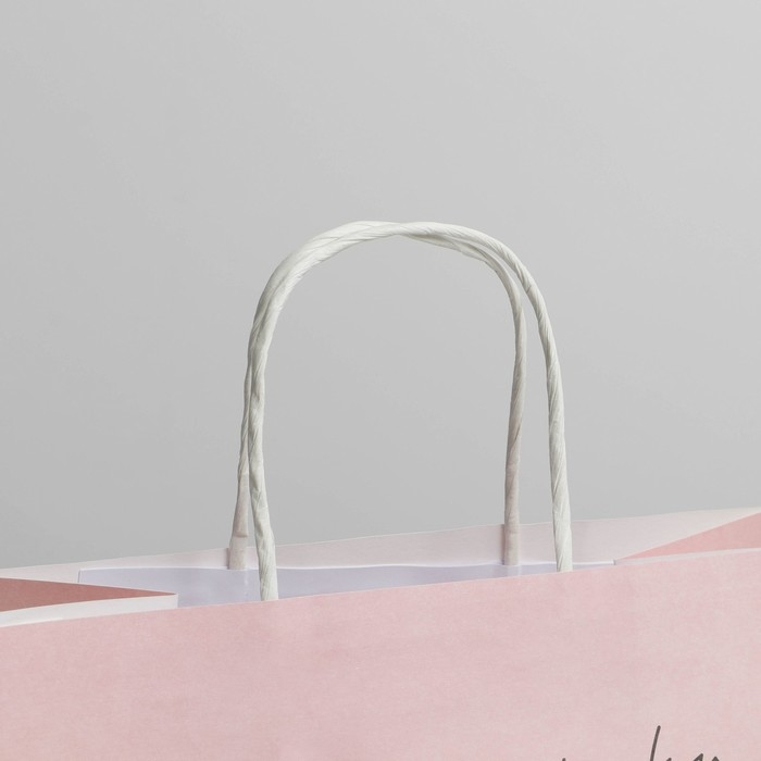 Пакет подарочный, упаковка, «Киса», 22 х 22 х 11 см