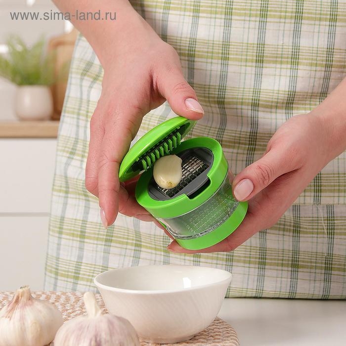 Приспособление для нарезки чеснока «Прино», 2 насадки, 7,5×7,5×6 см, цвет зелёный Приспособление для нарезки чеснока «Прино», 2 насадки, 7,5×7,5×6 см, цвет зелёный