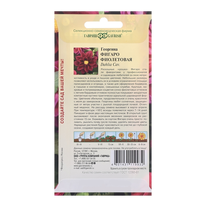 Семена Георгина Семена Георгина "Фигаро", фиолетовая 7 шт.