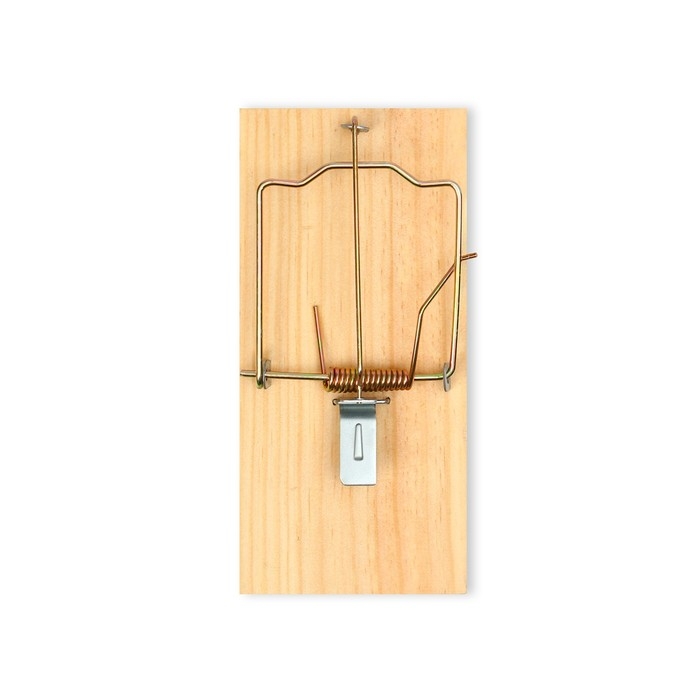 Крысоловка, 17 × 8 см, дерево, Greengo Крысоловка, 17 × 8 см, дерево, Greengo