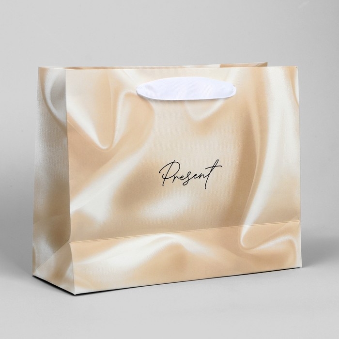Пакет подарочный, упаковка, «Present», 22 х 17.5 х 8 см Пакет подарочный, упаковка, «Present», 22 х 17.5 х 8 см