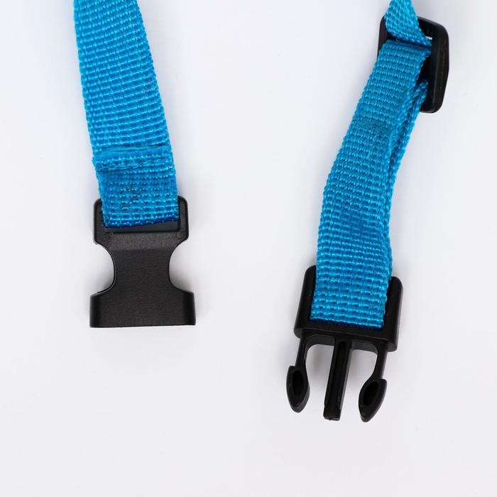 Намордник сетчатый с двойной фиксацией, размер S, голубой Намордник сетчатый с двойной фиксацией, размер S, голубой