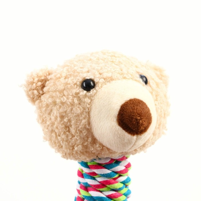 Игрушка мягкая для собак  Игрушка мягкая для собак "Медведь" белый, 24 см