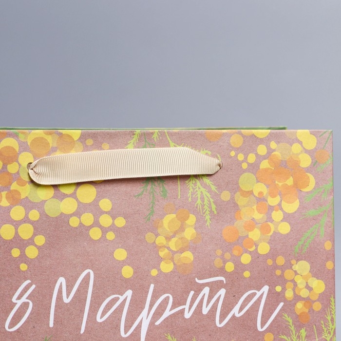 Пакет подарочный крафтовый вертикальный, упаковка, «Мимоза», ML 27 х 23 х 11.5 см Пакет подарочный крафтовый вертикальный, упаковка, «Мимоза», ML 27 х 23 х 11.5 см