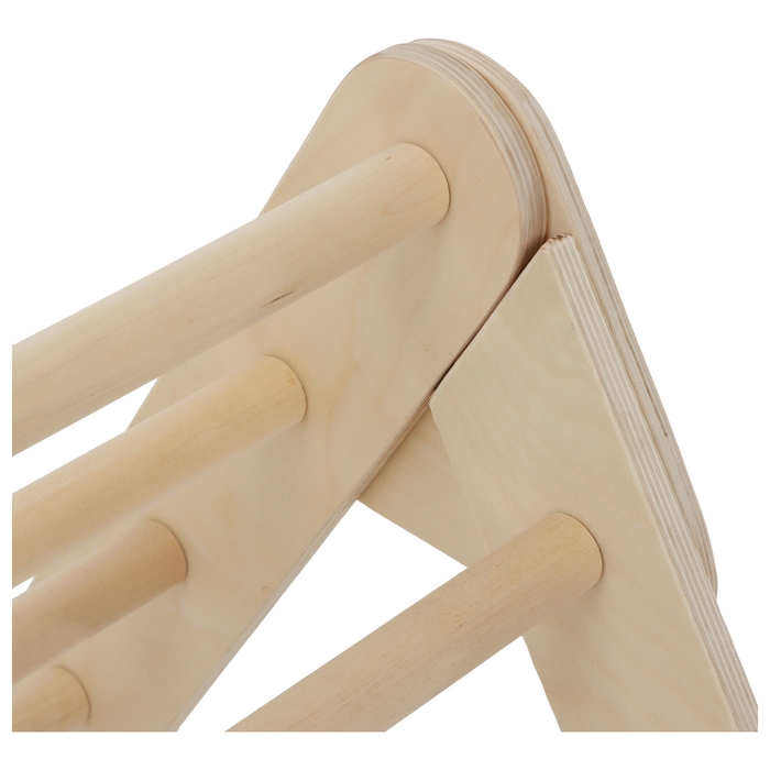 Детский спортивный комплекс «Треугольник Пиклера» Детский спортивный комплекс «Треугольник Пиклера»