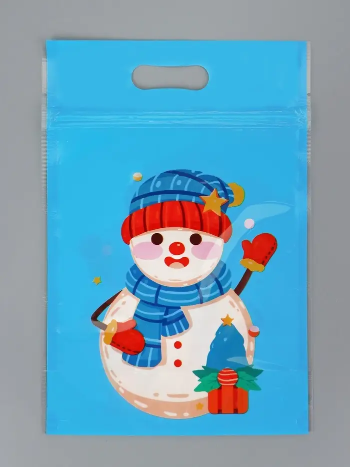 Пакет подарочный, с zip-lock застежкой, "Снеговик и его друзья", 15х22см МИКС Пакет подарочный, с zip-lock застежкой, "Снеговик и его друзья", 15х22см МИКС